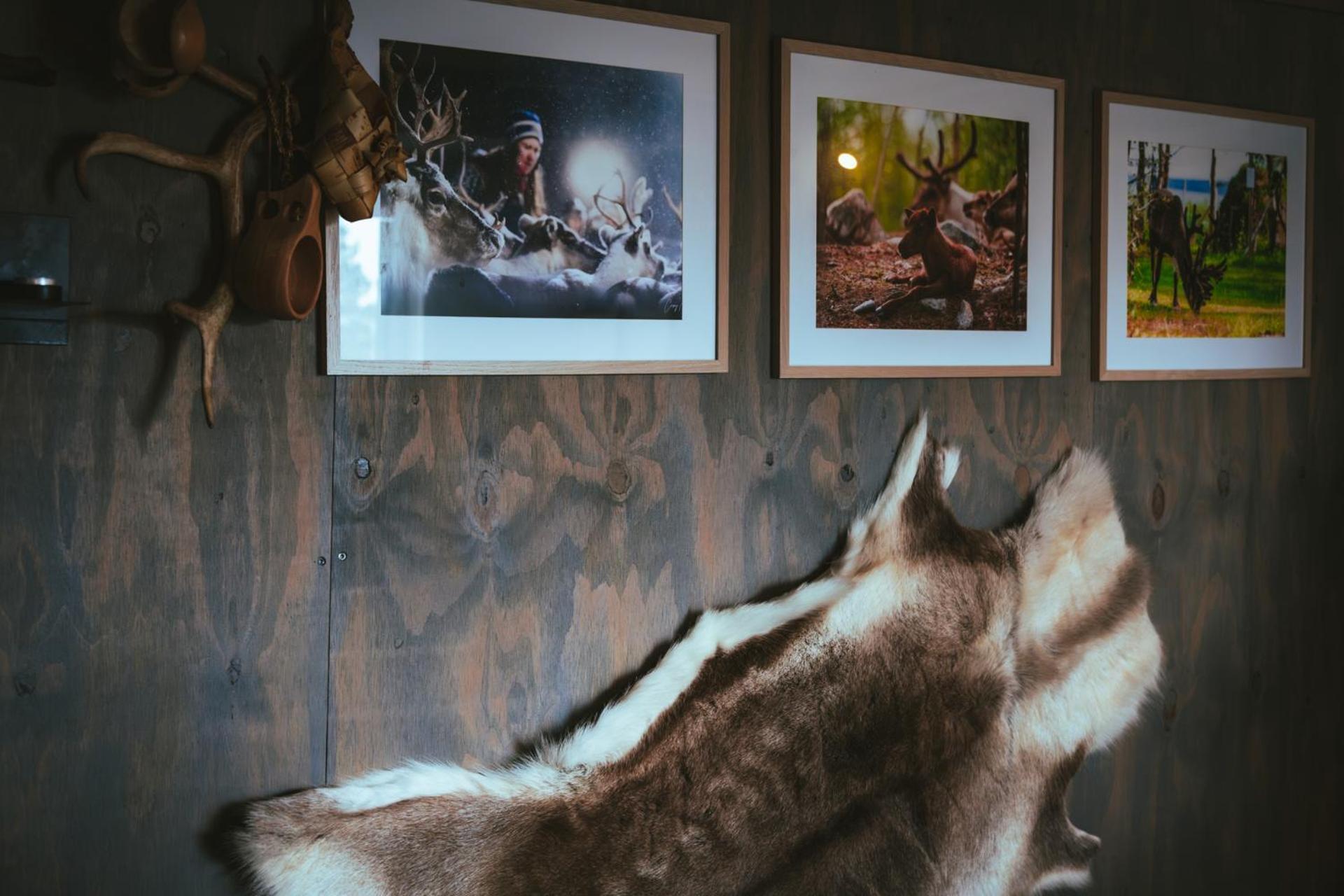 Reindeer Lodge Jukkasjärvi Exteriér fotografie